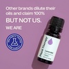 image:imagePlant Therapy Lavender Essential Oil 30 mL Pure amp Undiluted Aromatherapy