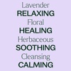 image:imagePlant Therapy Lavender Essential Oil PreDiluted RollOn 10 mL 13 oz