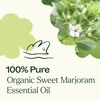 image:imagePlant Therapy Marjoram Sweet Organic Essential Oil 10 mL 13 oz 100 Pure Undiluted Essential Oil Great for Aromatherapy Diffusers
