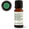 image:imagePlant Therapy Marjoram Sweet Organic Essential Oil 10 mL 13 oz 100 Pure Undiluted Essential Oil Great for Aromatherapy Diffusers
