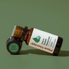 image:imagePlant Therapy Marjoram Sweet Organic Essential Oil 10 mL 13 oz 100 Pure Undiluted Essential Oil Great for Aromatherapy Diffusers