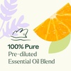 image:imagePlant Therapy Meditation Essential Oil Blend PreDiluted RollOn 100 mL 1 oz 100 Pure PreDiluted Calming Aromatherapy for Yoga Mediation and Self Care