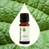 image:imagePlant Therapy Oregano Essential Oil 10 mL 13 oz 100 Pure Undiluted Natural Aromatherapy for Gut Health and Immune Support
