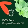 image:imagePlant Therapy Oregano Essential Oil 10 mL 13 oz 100 Pure Undiluted Natural Aromatherapy for Gut Health and Immune Support