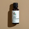 image:imagePlant Therapy Organic Atlas Cedarwood Essential Oil 30 mL 1 oz 100 Pure USDA Certified Organic Undiluted Soothing Aromatherapy for Scalp Health and Muscle Soreness