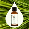 image:imagePlant Therapy Organic Atlas Cedarwood Essential Oil 30 mL 1 oz 100 Pure USDA Certified Organic Undiluted Soothing Aromatherapy for Scalp Health and Muscle Soreness