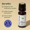 image:imagePlant Therapy Organic Bergamot Essential Oil 10 mL Pure amp Undiluted