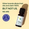 image:imagePlant Therapy Organic Bergamot Essential Oil 10 mL Pure amp Undiluted