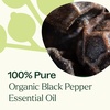 image:imagePlant Therapy Organic Black Pepper Essential Oil 10 mL 13 oz 100 Pure Undiluted USDA Certified Organic Warming Relief for Sore Muscles and Joints