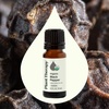 image:imagePlant Therapy Organic Black Pepper Essential Oil 10 mL 13 oz 100 Pure Undiluted USDA Certified Organic Warming Relief for Sore Muscles and Joints