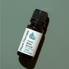 image:imagePlant Therapy Organic Black Spruce 10 mL 13 oz Essential Oil 100 Pure Undiluted USDA Certified Organic Aromatherapy Fresh Scent Respiratory Support