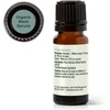 image:imagePlant Therapy Organic Black Spruce 10 mL 13 oz Essential Oil 100 Pure Undiluted USDA Certified Organic Aromatherapy Fresh Scent Respiratory Support