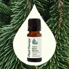 image:imagePlant Therapy Organic Black Spruce 10 mL 13 oz Essential Oil 100 Pure Undiluted USDA Certified Organic Aromatherapy Fresh Scent Respiratory Support
