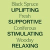 image:imagePlant Therapy Organic Black Spruce 10 mL 13 oz Essential Oil 100 Pure Undiluted USDA Certified Organic Aromatherapy Fresh Scent Respiratory Support