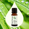 image:imagePlant Therapy Organic Citronella Essential Oil 10 mL 13 oz USDA Organic