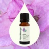 image:imagePlant Therapy Organic Clary Sage Essential Oil 10 mL 13 oz 100 Pure Undiluted USDA Certified Organic Natural Calming Aromatherapy for Sleep Hair Skin and Womens Health