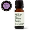image:imagePlant Therapy Organic Clary Sage Essential Oil 10 mL 13 oz 100 Pure Undiluted USDA Certified Organic Natural Calming Aromatherapy for Sleep Hair Skin and Womens Health