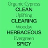 image:imagePlant Therapy Organic Cypress Essential Oil 10 mL 13 oz