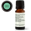 image:imagePlant Therapy Organic Cypress Essential Oil 10 mL 13 oz
