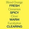 image:imagePlant Therapy Organic Fighter Essential Oil Blend 10 mL 13 oz
