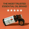 image:imagePlant Therapy Organic Frankincense Carterii Essential Oil 10 mL Pure Oil
