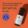 image:imagePlant Therapy Organic Frankincense Carterii Essential Oil 10 mL Pure Oil
