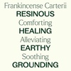 image:imagePlant Therapy Organic Frankincense Carterii Essential Oil 30 mL 1 oz 100 Pure USDA Certified Organic Undiluted Grounding Aromatherapy for Yoga and Meditation