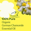 image:imagePlant Therapy Organic German Chamomile Essential Oil 25 mL 112 oz 100 Pure and Undiluted Aromatherapy to Promote a Tranquil Atmosphere