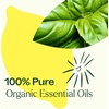 image:imagePlant Therapy Organic Lemon Basil Essential Oil Blend for Diffuser Manufactured in USA 10 mL 13 oz A MoodBoosting and Vibrant Scent Supports Focus Mental Clarity Great Shower Steam Foot Soaks
