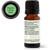 image:imagePlant Therapy Organic Lemon Basil Essential Oil Blend for Diffuser Manufactured in USA 10 mL 13 oz A MoodBoosting and Vibrant Scent Supports Focus Mental Clarity Great Shower Steam Foot Soaks