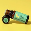 image:imagePlant Therapy Organic Lemon Basil Essential Oil Blend for Diffuser Manufactured in USA 10 mL 13 oz A MoodBoosting and Vibrant Scent Supports Focus Mental Clarity Great Shower Steam Foot Soaks