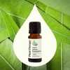 image:imagePlant Therapy Organic Lemon Eucalyptus Essential Oil 10 mL Pure Undiluted