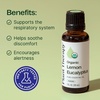 image:imagePlant Therapy Organic Lemon Eucalyptus Essential Oil 30 mL USDA Certified