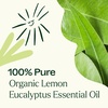 image:imagePlant Therapy Organic Lemon Eucalyptus Essential Oil 30 mL USDA Certified