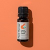 image:imagePlant Therapy Organic Orange Clove Essential Oil Blend for Diffuser 10 mL 13 oz Naturally Energizing Naturally Freshens the Air with Citrus amp Spice Great Addition to DIY Household Cleaners