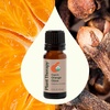image:imagePlant Therapy Organic Orange Clove Essential Oil Blend for Diffuser 10 mL 13 oz Naturally Energizing Naturally Freshens the Air with Citrus amp Spice Great Addition to DIY Household Cleaners
