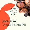 image:imagePlant Therapy Organic Orange Clove Essential Oil Blend for Diffuser 10 mL 13 oz Naturally Energizing Naturally Freshens the Air with Citrus amp Spice Great Addition to DIY Household Cleaners