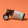 image:imagePlant Therapy Organic Orange Clove Essential Oil Blend for Diffuser 10 mL 13 oz Naturally Energizing Naturally Freshens the Air with Citrus amp Spice Great Addition to DIY Household Cleaners
