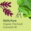 image:imagePlant Therapy Organic Patchouli Essential Oil 10 mL 13 oz