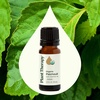 image:imagePlant Therapy Organic Patchouli Essential Oil 10 mL 13 oz