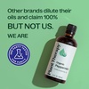 image:imagePlant Therapy Organic Peppermint Essential Oil 100 mL 33 oz 100 Pure and Undiluted USDA Certified Organic for Diffusion Skin and Hair