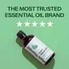 image:imagePlant Therapy Organic Peppermint Essential Oil 100 mL 33 oz 100 Pure and Undiluted USDA Certified Organic for Diffusion Skin and Hair