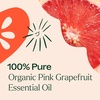 image:imagePlant Therapy Organic Pink Grapefruit Essential Oil Pink 10 mL 13 oz 100 Pure Undiluted Citrus Paradisi for Aromatherapy Skin Hair amp Home