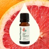 image:imagePlant Therapy Organic Pink Grapefruit Essential Oil Pink 10 mL 13 oz 100 Pure Undiluted Citrus Paradisi for Aromatherapy Skin Hair amp Home