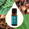 image:imagePlant Therapy Organic Rapid Relief Essential Oil Blend 10 mL 13 oz 100 Pure Undiluted Natural Aromatherapy Warming Relief for Joint Pain and Sore Muscles
