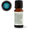 image:imagePlant Therapy Organic Rapid Relief Essential Oil Blend 10 mL 13 oz 100 Pure Undiluted Natural Aromatherapy Warming Relief for Joint Pain and Sore Muscles