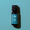 image:imagePlant Therapy Organic Rapid Relief Essential Oil Blend 10 mL 13 oz 100 Pure Undiluted Natural Aromatherapy Warming Relief for Joint Pain and Sore Muscles