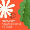 image:imagePlant Therapy Organic Rapid Relief Essential Oil Blend 10 mL 13 oz 100 Pure Undiluted Natural Aromatherapy Warming Relief for Joint Pain and Sore Muscles