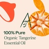 image:imagePlant Therapy Organic Tangerine Essential Oil 10 mL 13 oz 100 Pure Undiluted USDA Certified Organic Aromatherapy Mood Boosting Immune Support