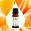 image:imagePlant Therapy Organic Tangerine Essential Oil 10 mL 13 oz 100 Pure Undiluted USDA Certified Organic Aromatherapy Mood Boosting Immune Support